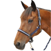 Canter - Licol et longe nylon marine/ argent | - Ohlala