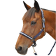 Canter - Licol et longe nylon marine/ argent | - Ohlala