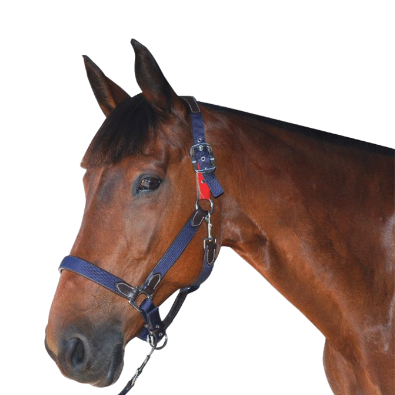 Flags&amp;Cup - Safety Halter