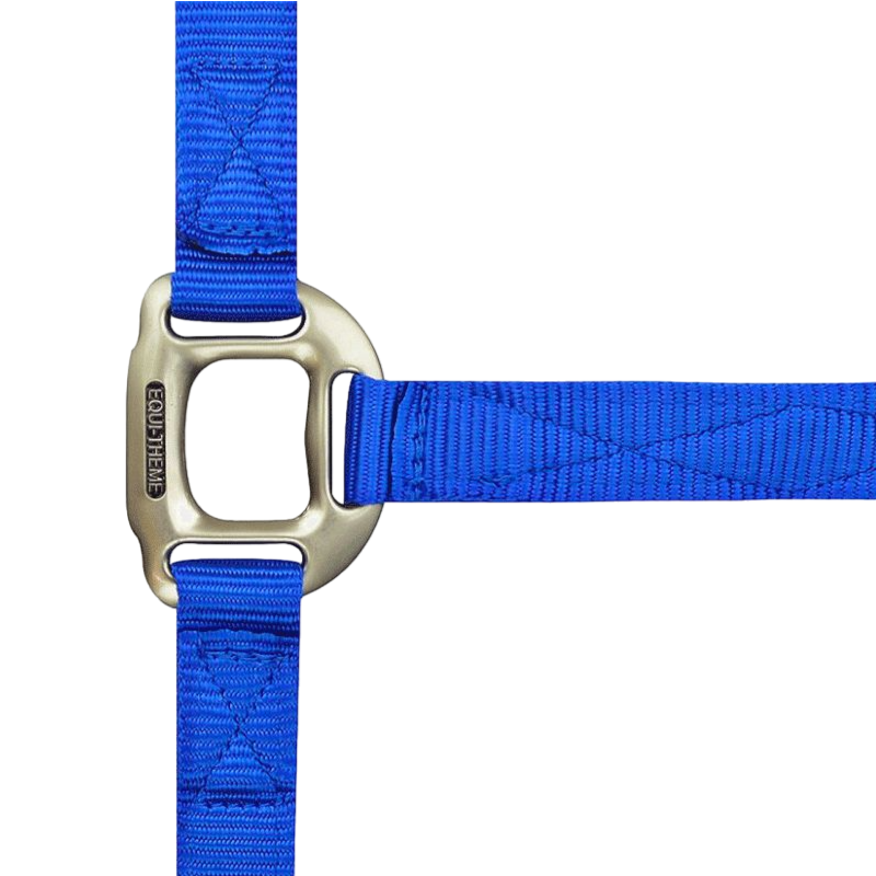 Equithème - Royal blue nylon halter