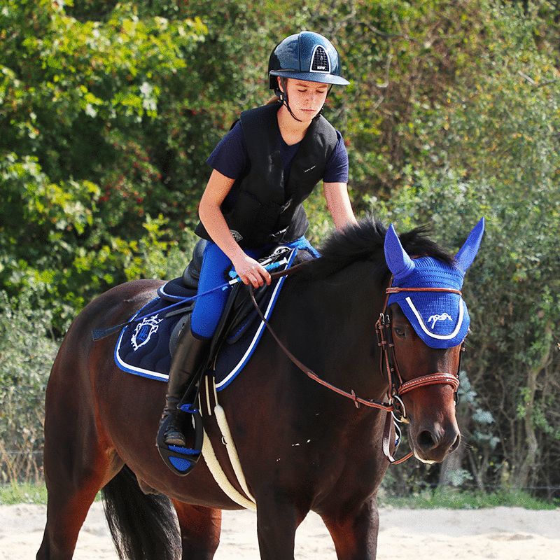 Flags & Cup - Pantalon d'équitation Cayenne bleu roi | - Ohlala