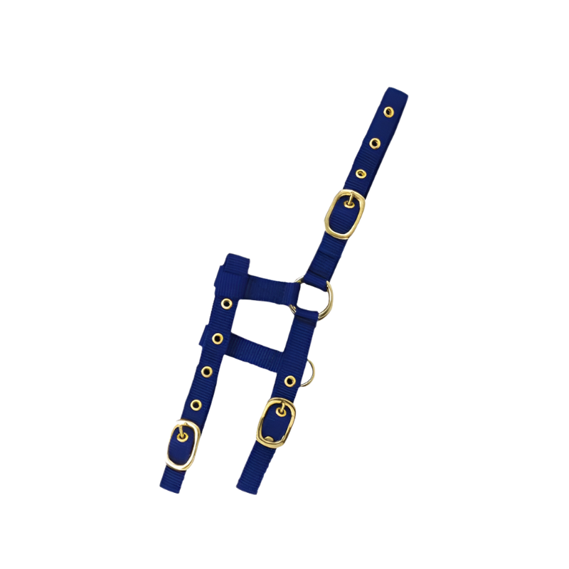 Norton - Royal blue mini adjustable halter