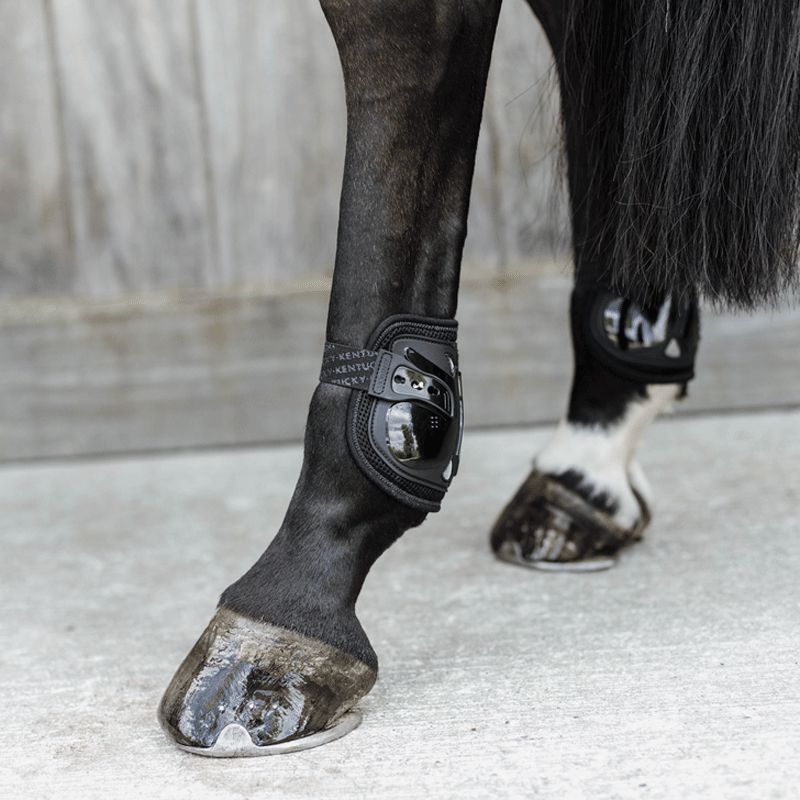 Kentucky Horsewear - Protège-boulets Moonboots Air Noir | - Ohlala