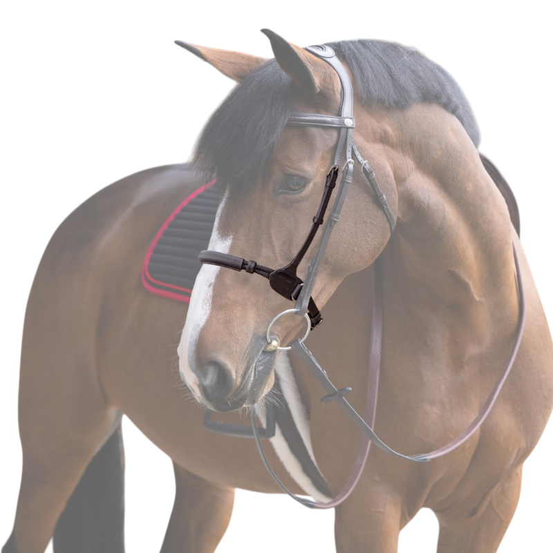 Jump'In - Noseband bitless Evolution noisette