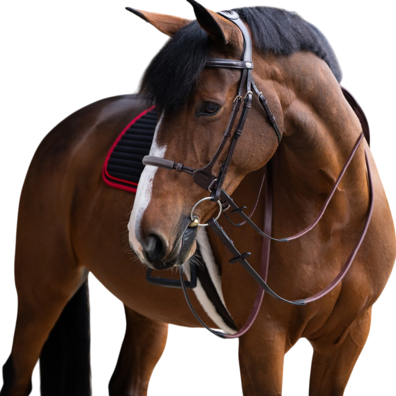 Jump'In - Noseband bitless Evolution noisette