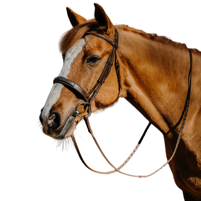 Norton - Bridon Hunter Fancy havana 