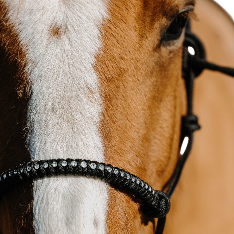 Norton - Black nylon ethological halter Diams 