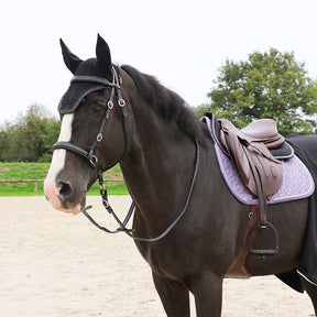 Kentucky Horsewear - Bonnet anti-bruits pour cheval Wellington Glitter Stone noir | - Ohlala