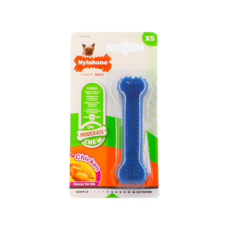 Nylabone - Os à mâcher pour chien  moderate dental chew Chicken