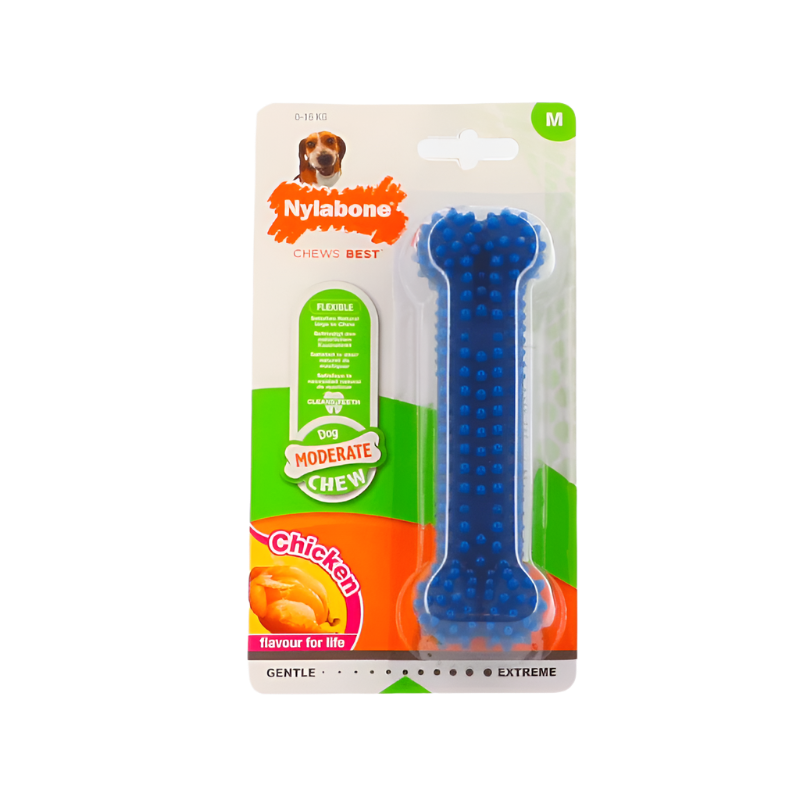 Nylabone - Os à mâcher pour chien  moderate dental chew Chicken