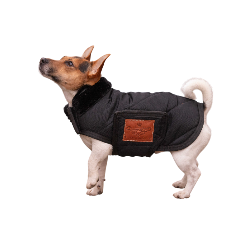 Paddock Sports - Couverture pour chien Diagonal