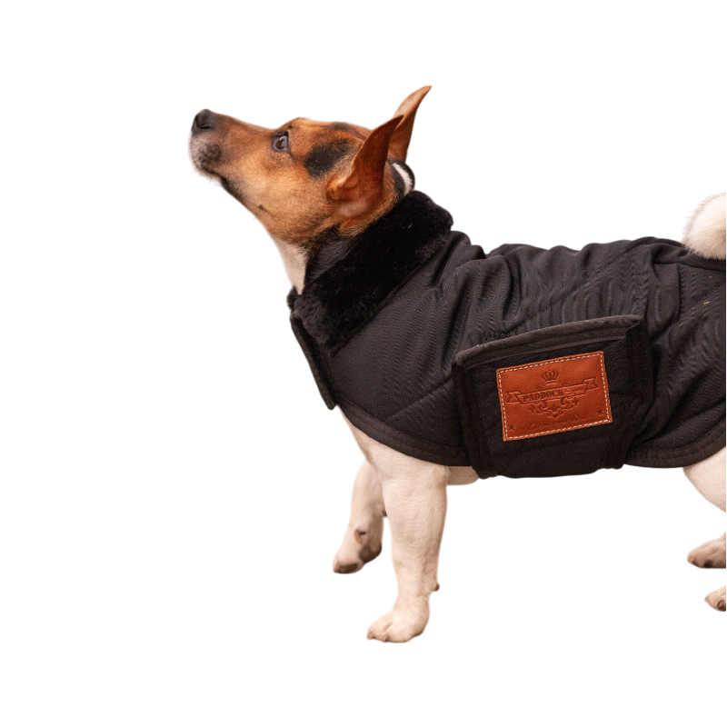 Paddock Sports - Couverture pour chien Diagonal