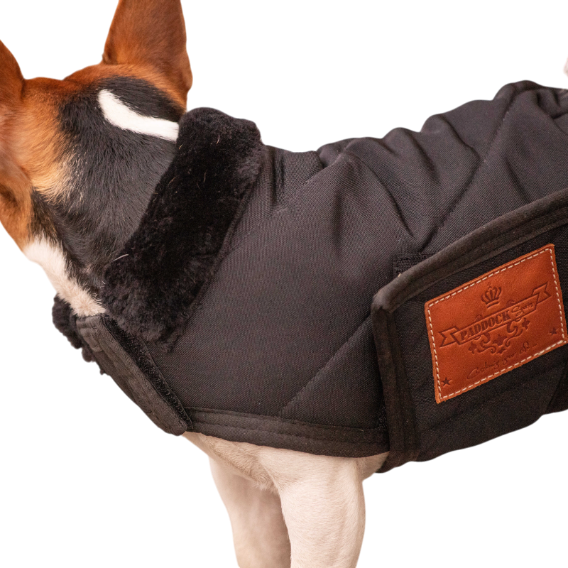 Paddock Sports - Couverture pour chien Diagonal