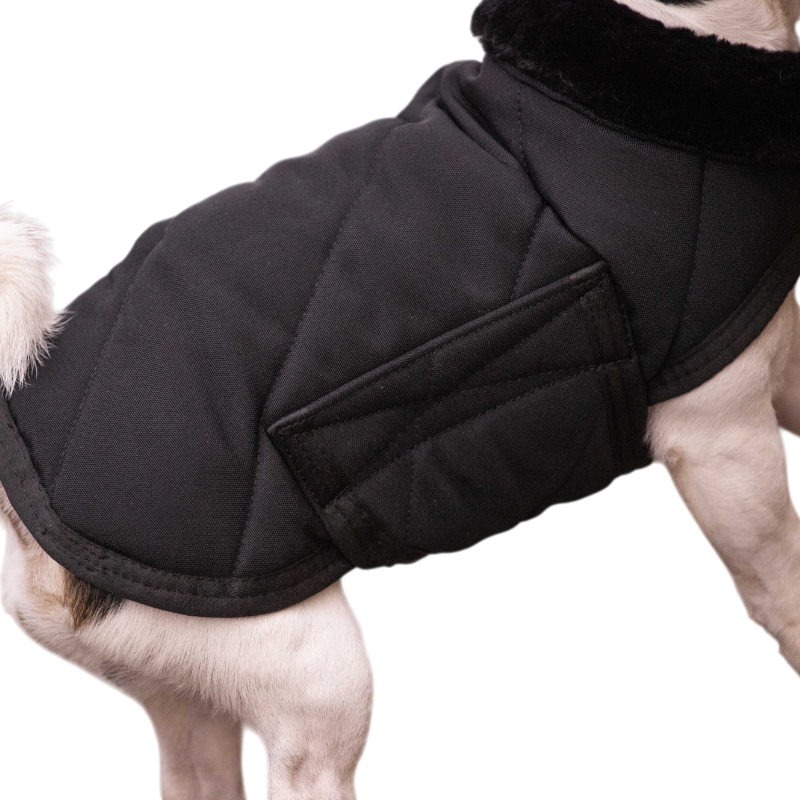 Paddock Sports - Couverture pour chien Diagonal