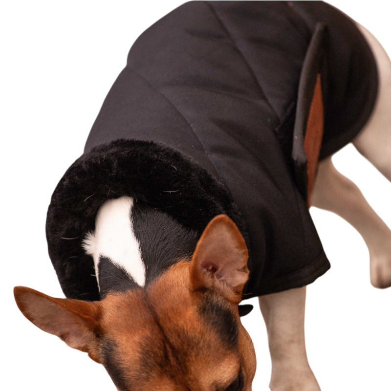 Paddock Sports - Couverture pour chien Diagonal
