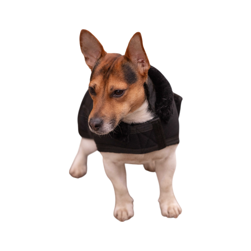Paddock Sports - Couverture pour chien Diagonal