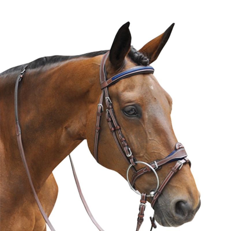 Flags &amp; Cup - Paris combined bridle with brown/blue reins