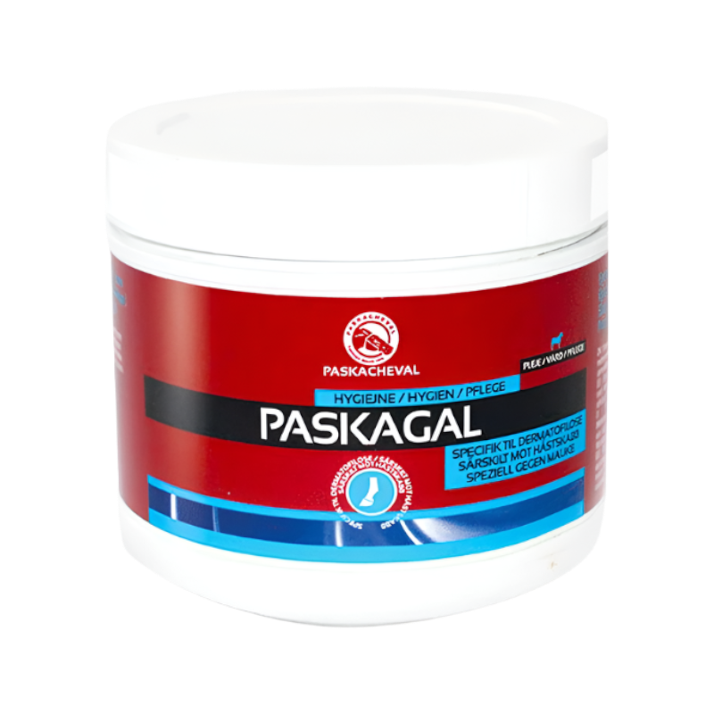 Paskacheval - Regenerating ointment gale of mud paskagal