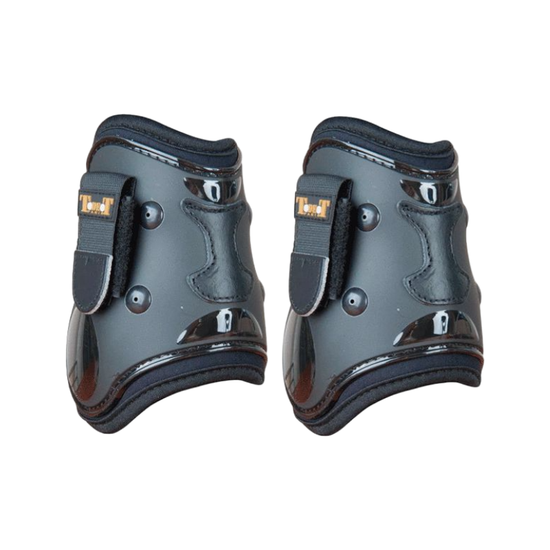 TdeT - Shell and black leather fetlock protectors