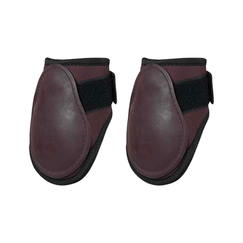 TdeT - First dark brown fetlock guards