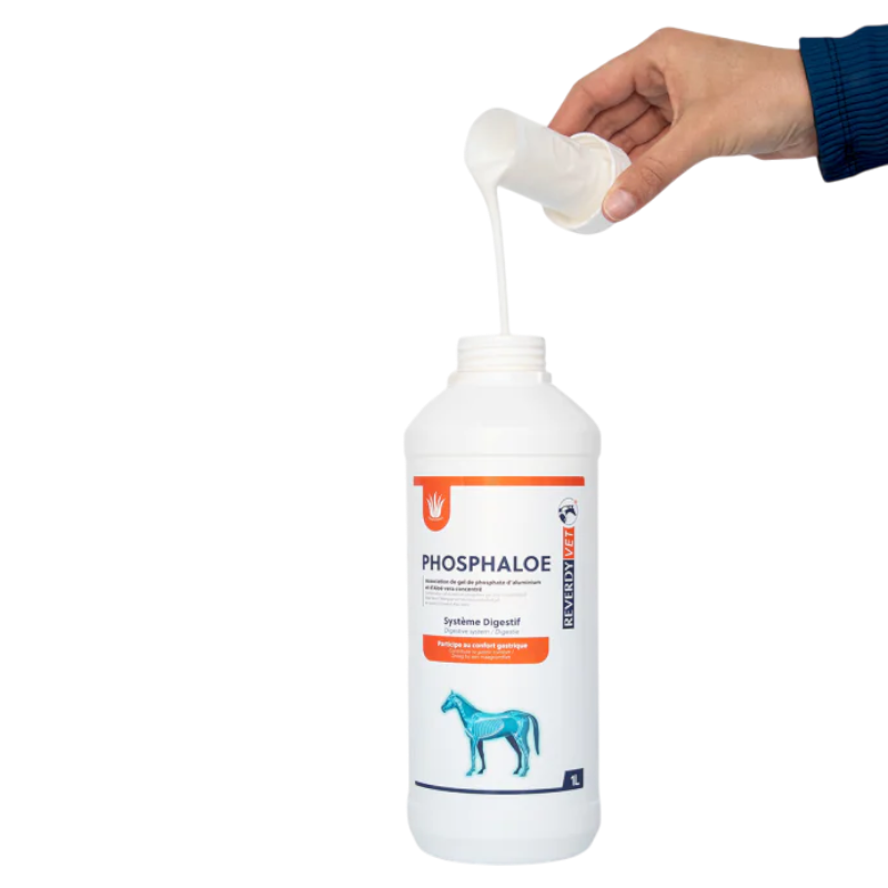 Reverdy - Voedingssupplement Phosphaloe maagcomfort