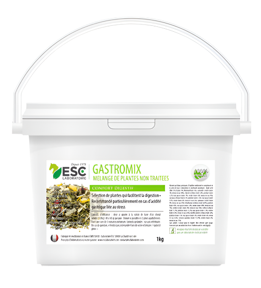 ESC Laboratoire - Complément alimentaire digestion et acidité gastrique Gastro Mix