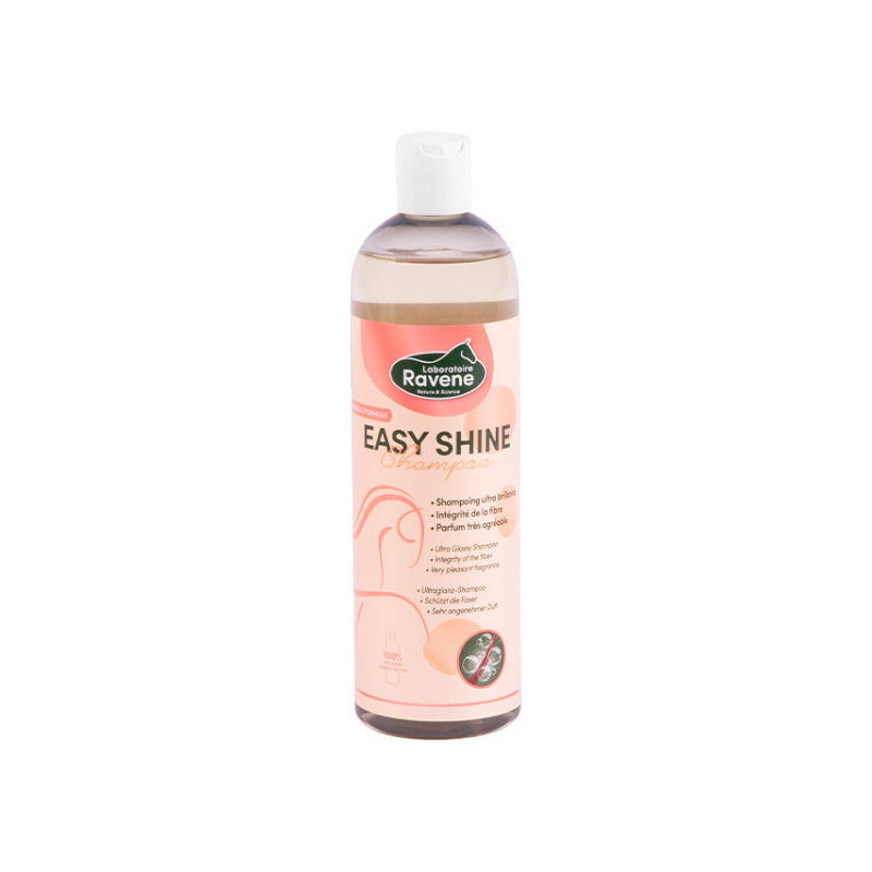 Ravene - Easy Shine color revitalizing shampoo 500ml