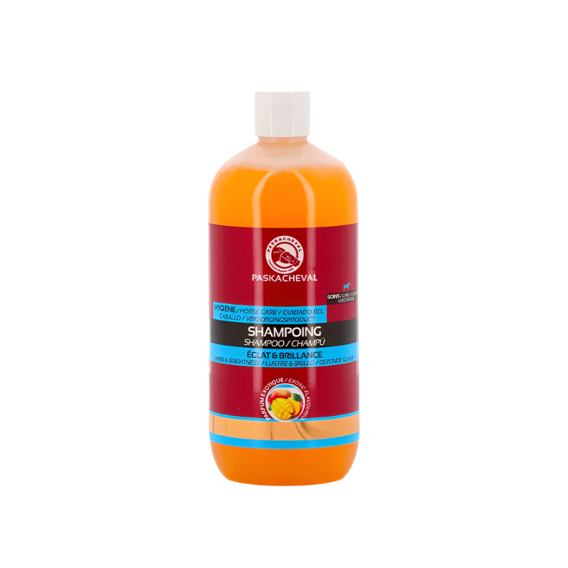 Paskacheval - Radiance &amp; shine shampoo