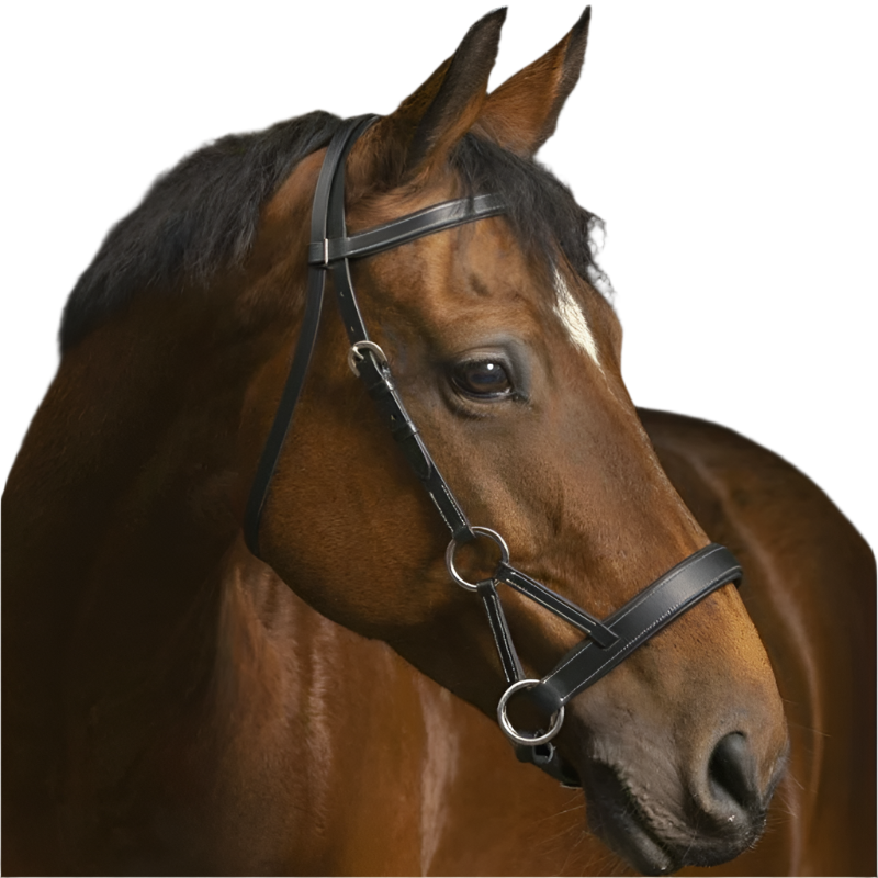 Norton - Side pull “PRO” comfort bridle black