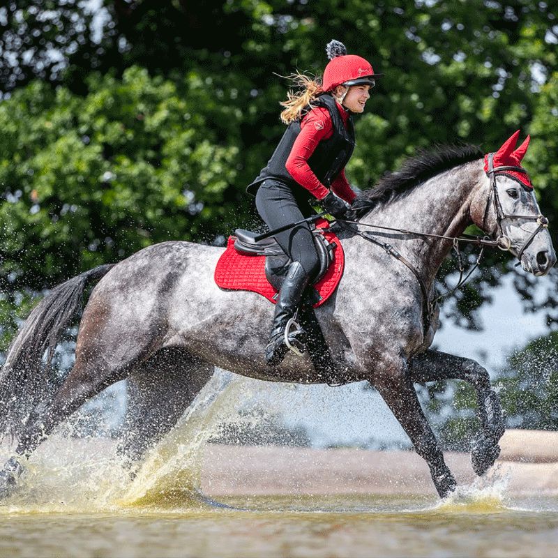 Lemieux - Tapis de selle square chilli | - Ohlala