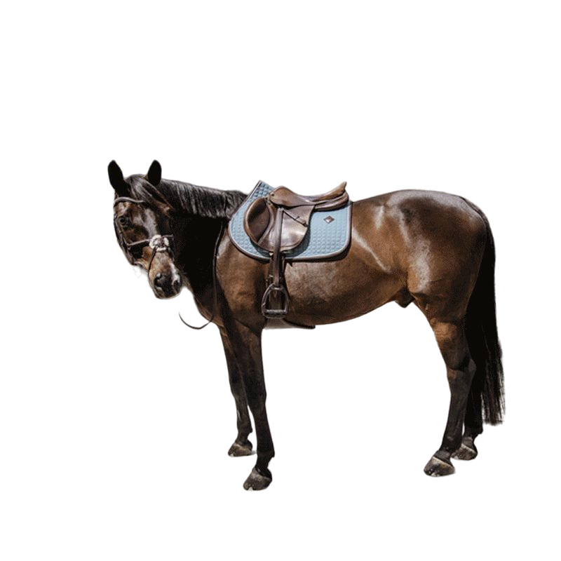 Kentucky Horsewear - Tapis de selle classic leather dusty blue | - Ohlala