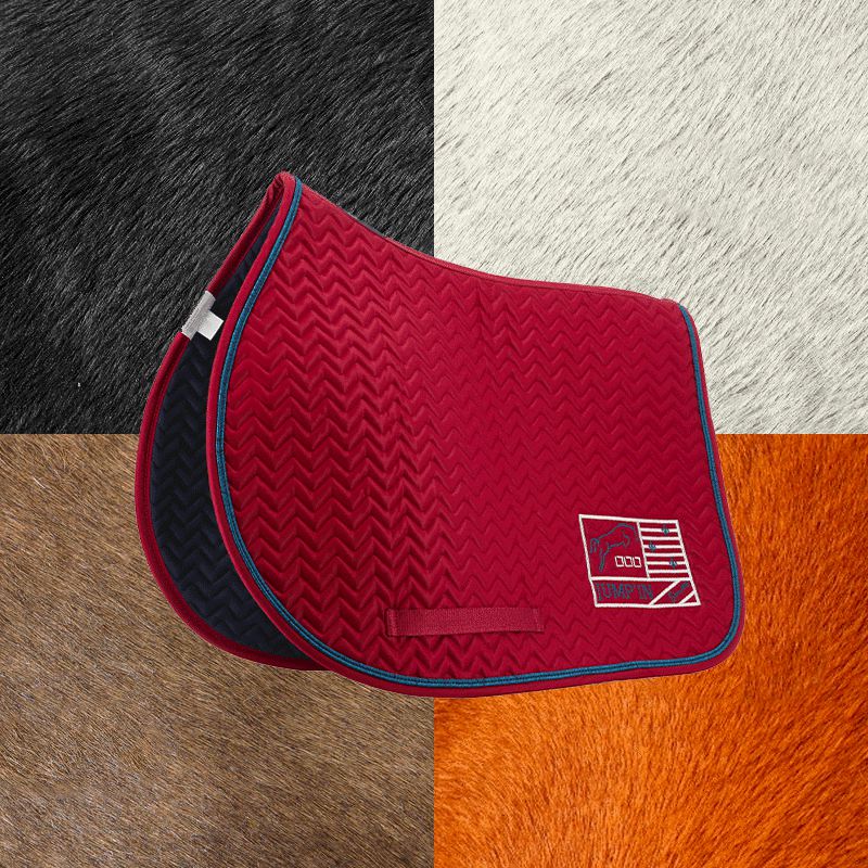 Jump'In - Tapis de selle Show One bordeaux/ marine | - Ohlala