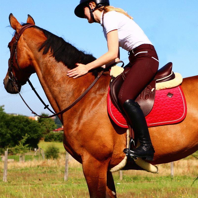 Kentucky Horsewear - Tapis de selle Velvet jumping Rouge | - Ohlala