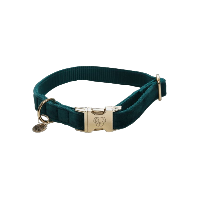 Kentucky Dogwear - Colliers pour chiens Velvet Emeraude | - Ohlala