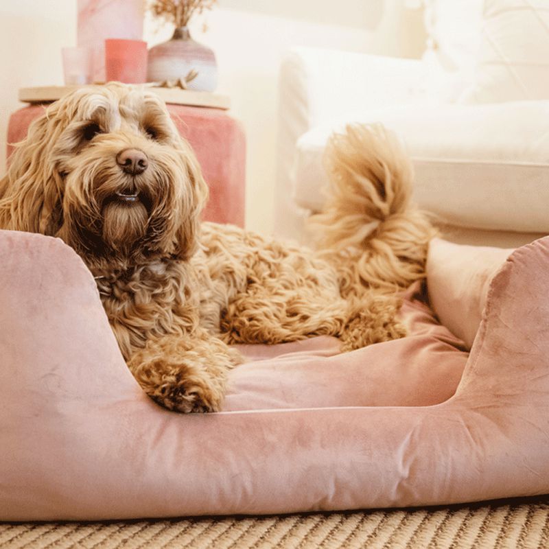 Kentucky Dogwear - Lit pour chien velvet vieux rose | - Ohlala