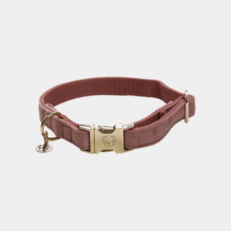 Kentucky Horsewear - Colliers pour chiens Velvet Rose | - Ohlala