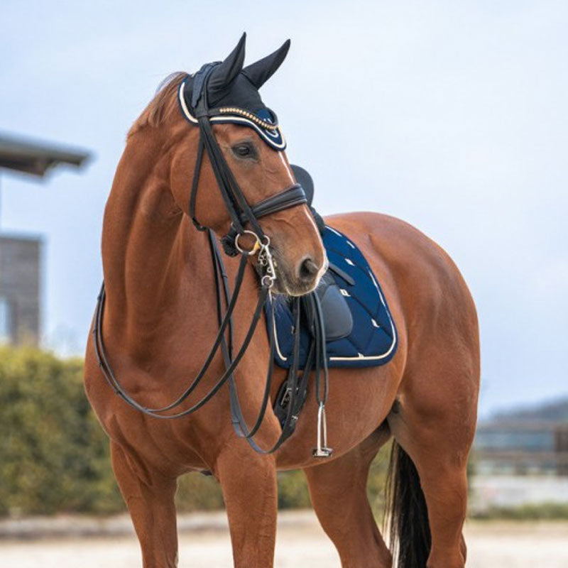 Back On Track - Bonnet pour cheval Night Collection noir/ bleu noble | - Ohlala