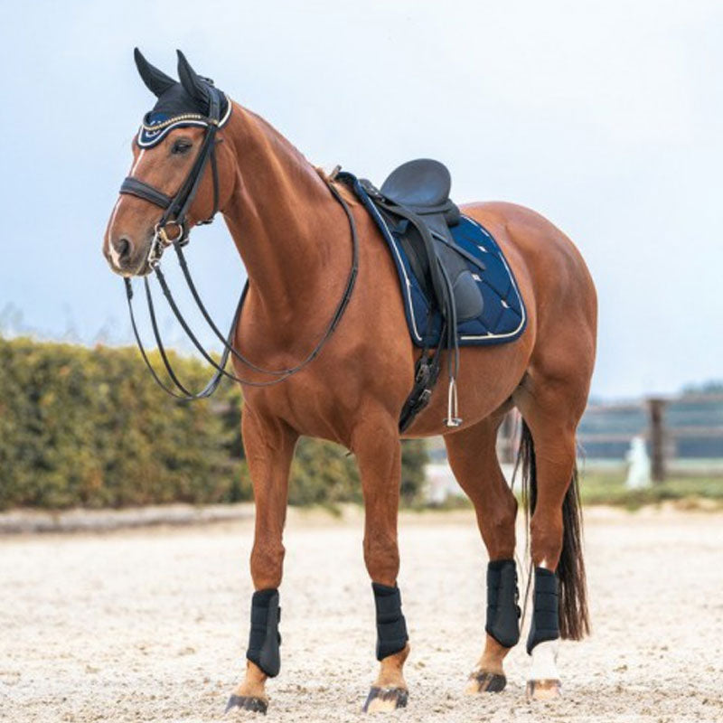 Back On Track - Bonnet pour cheval Night Collection noir/ bleu noble | - Ohlala