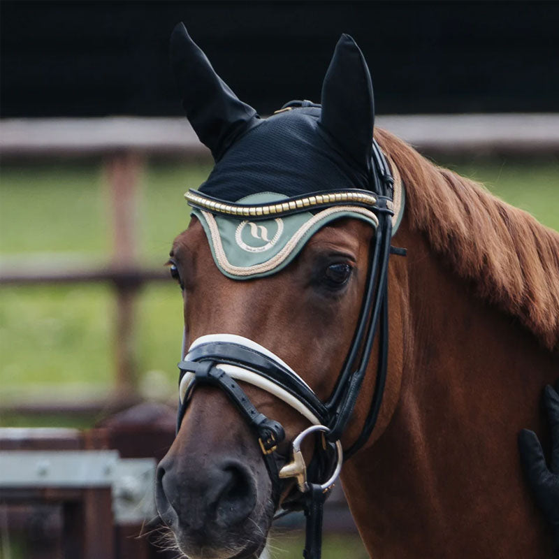 Back On Track - Bonnet pour chevaux Night Collection noir/ olive | - Ohlala