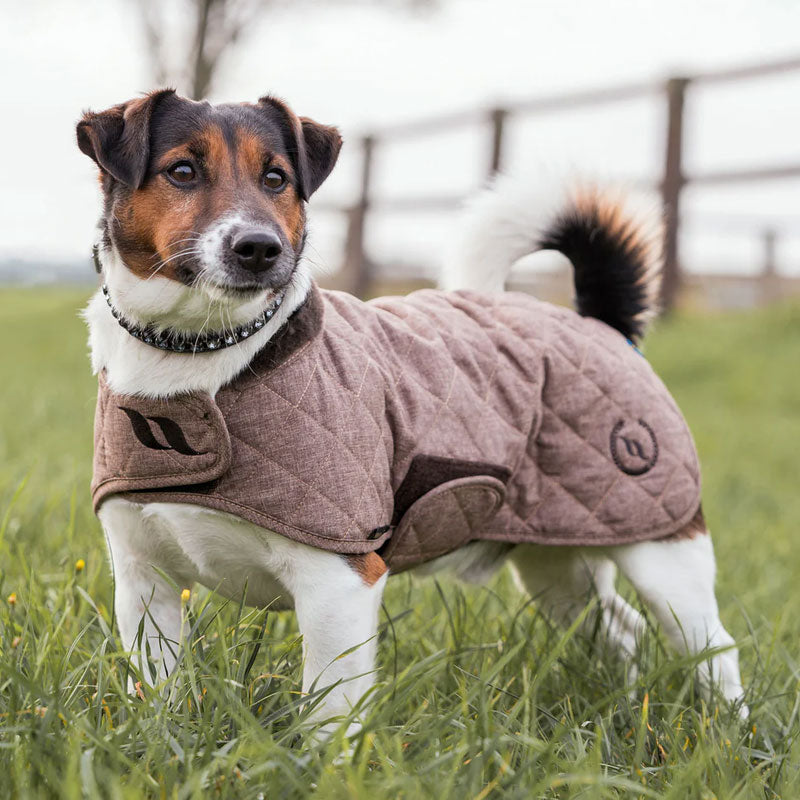 Back On Track - Manteau pour chien Haze marron | - Ohlala