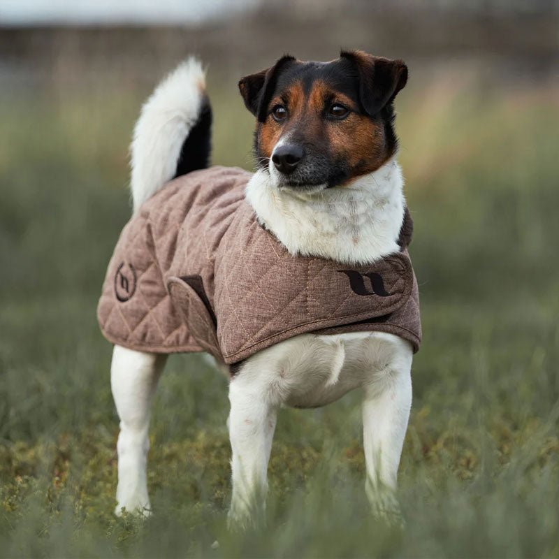 Back On Track - Manteau pour chien Haze marron | - Ohlala