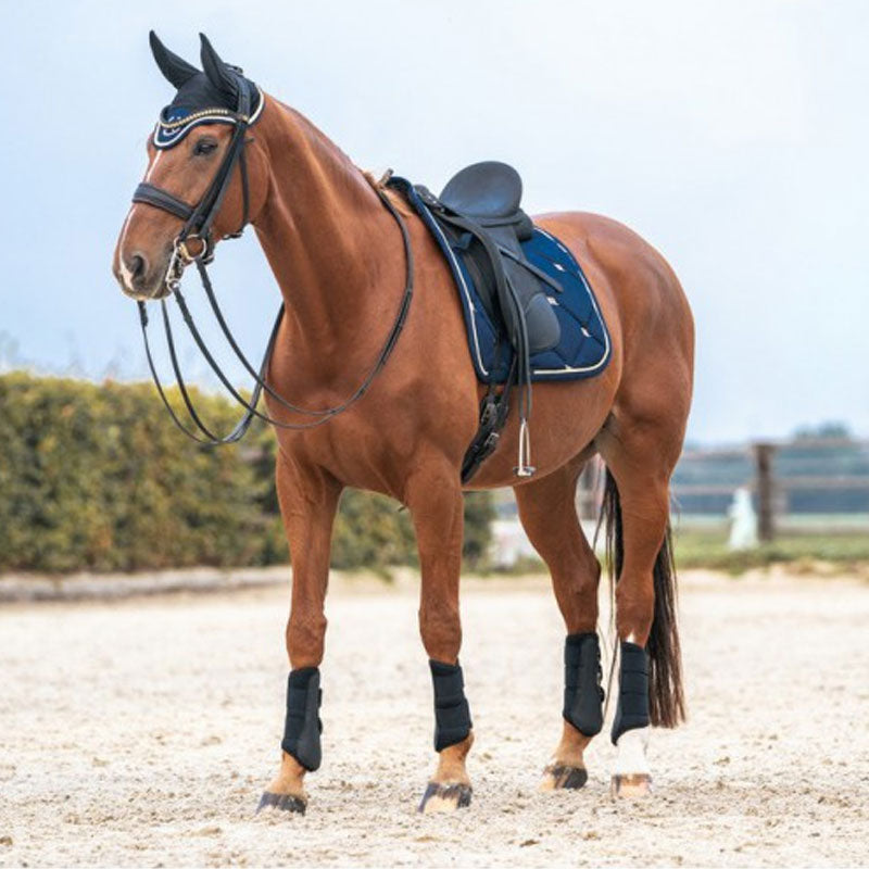 Back On Track - Tapis de dressage Night bleu noble | - Ohlala