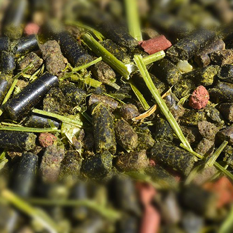 CGP Horse Feed - Getreidefrei-Müsli für Pferde | - Ohlala