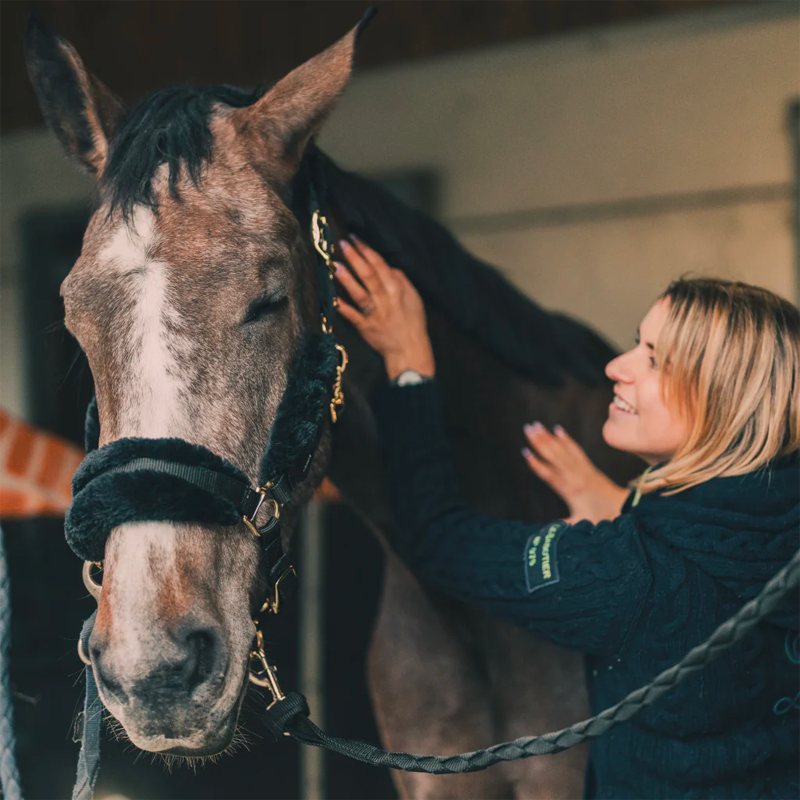 Cura Naturale - Lotion relaxante pour chevaux | - Ohlala