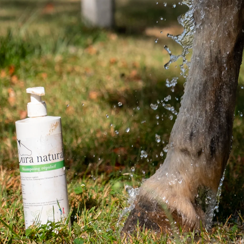Cura Naturale - Shampoing pour chevaux répulsif à insectes | - Ohlala