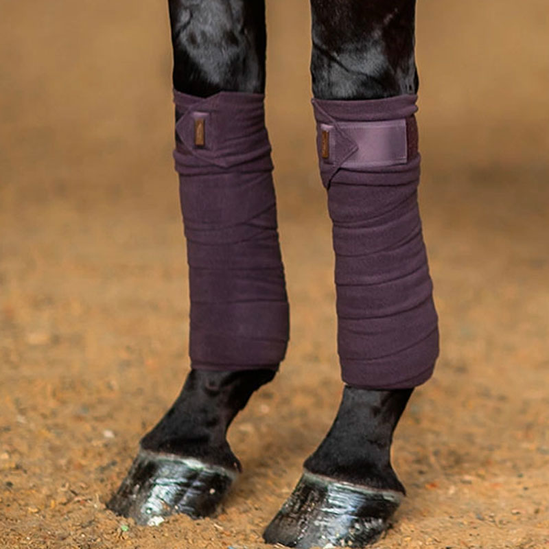 Equestrian Stockholm - Bandes de polo Moonless Night marron/ violet (x4) | - Ohlala