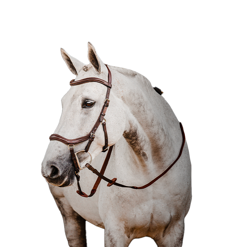 Horseware - Bridon Rambo Micklem 2 Deluxe Competition havane | - Ohlala