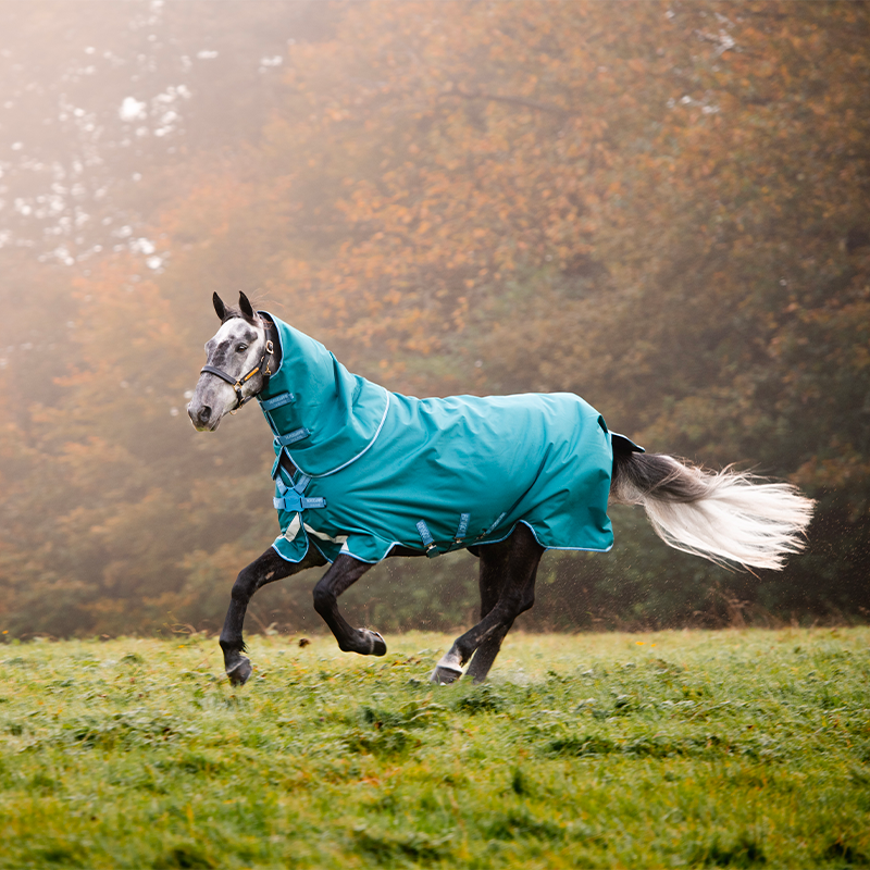 Horseware - Couverture d'extérieur Amigo Bravo 12 Plus fermeture Disque emeraude/ turquoise/ bleu 100g | - Ohlala