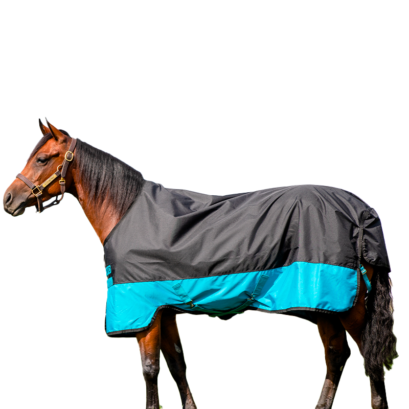 Horseware - Couverture d'extérieur Mio Turnout noir/ turquoise 200g | - Ohlala