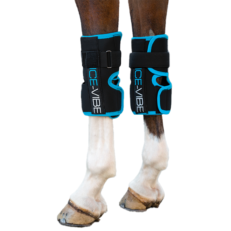 Horseware - Guêtres Ice-Vibe genoux noir/ turquoise | - Ohlala